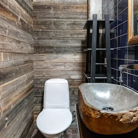 Bear Cub - Ruka Slopes, Ski, Hiking *