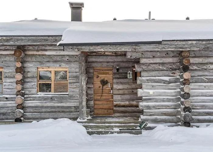Bear Cub - Ruka Slopes, Ski, Hiking *