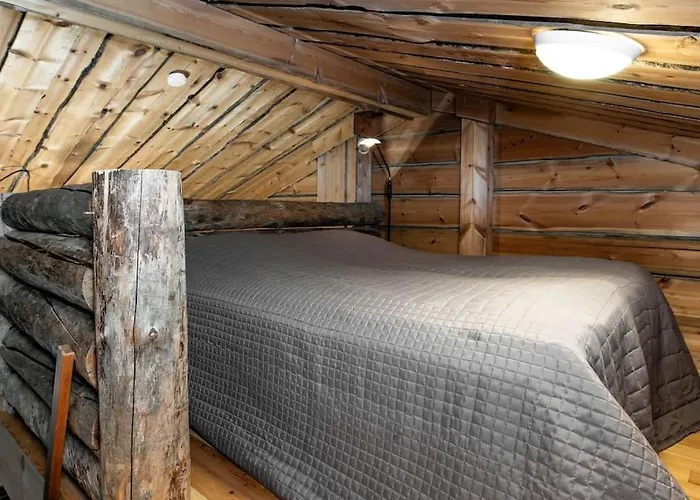 Bear Cub - Ruka Slopes, Ski, Hiking Kuusamo