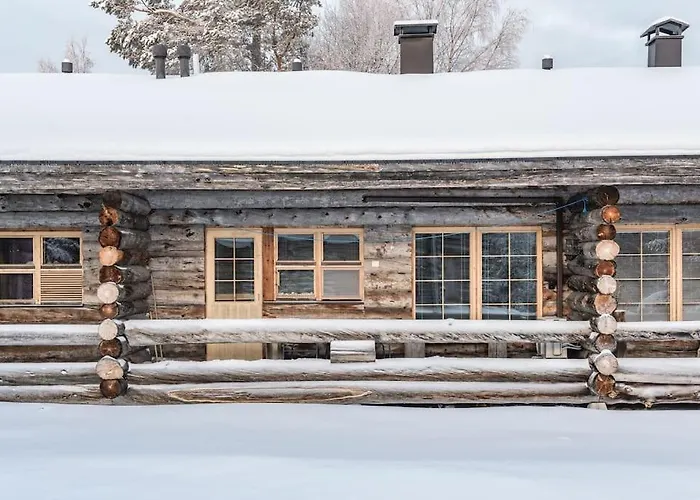 Bear Cub - Ruka Slopes, Ski, Hiking Kuusamo